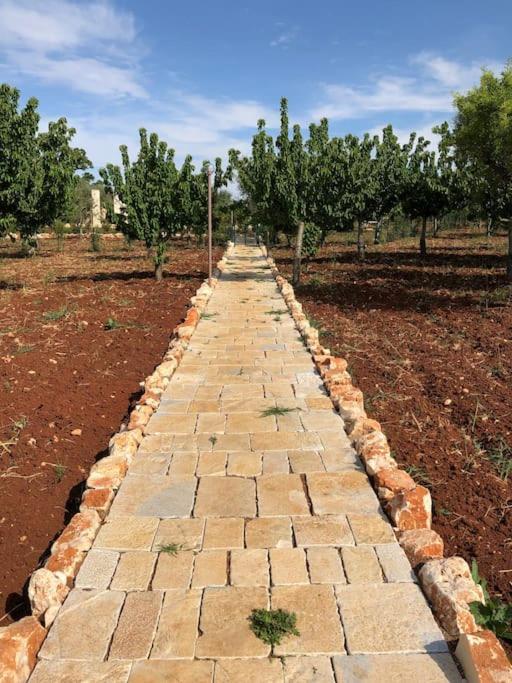Ulivo Villa Monopoli Buitenkant foto